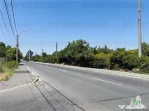 TEREN STRADAL GIULESTI, 50000 mp, la asfalt, intravilan, toa