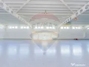 LUX! De inchiriat SPATIU COMERCIAL cu birouri, magazie ș... 