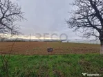 RECO teren intravilan Topa de Cris