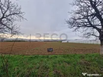 RECO teren intravilan Topa de Cris