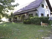 Topoloveni - Conacul Ion Mihalache, Domeniu pe 5 Hectare 