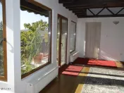 Topoloveni - Conacul Ion Mihalache, Domeniu pe 5 Hectare 