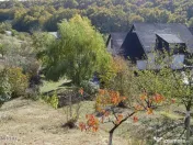 Topoloveni - Conacul Ion Mihalache, Domeniu pe 5 Hectare 