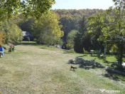 Topoloveni - Conacul Ion Mihalache, Domeniu pe 5 Hectare 