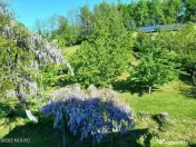 Topoloveni - Conacul Ion Mihalache, Domeniu pe 5 Hectare 