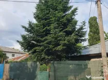 Teren intravilan 190 mp curti constructii - Lac Plumbuita