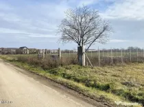 Afumati - Str. Iasomiei, 2409 MP, stradal, intravilan, de...