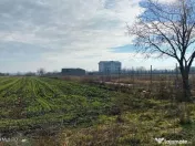 Afumati - Str. Iasomiei, 2409 MP, stradal, intravilan, de... 