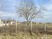 Afumati - Str. Iasomiei, 2409 MP, stradal, intravilan, de... 