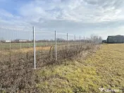 Afumati - Str. Iasomiei, 2409 MP, stradal, intravilan, de... 