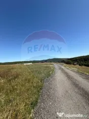 Teren 3,757mp Paltinoasa / Strada principala 