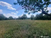 Teren intravilan 11.500 mp – Strada Cismari Vălenii ...