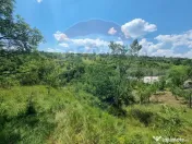 Teren intravilan 11.500 mp – Strada Cismari Vălenii ... 