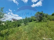 Teren intravilan 11.500 mp – Strada Cismari Vălenii ... 