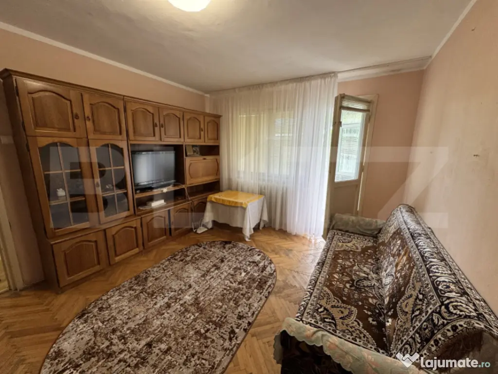 Apartament modest 2 camere, aer conditionat, Brazda lui Nova