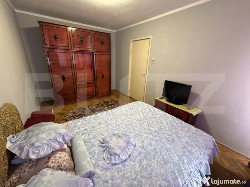 Apartament modest 2 camere, aer conditionat, Brazda lui Nova