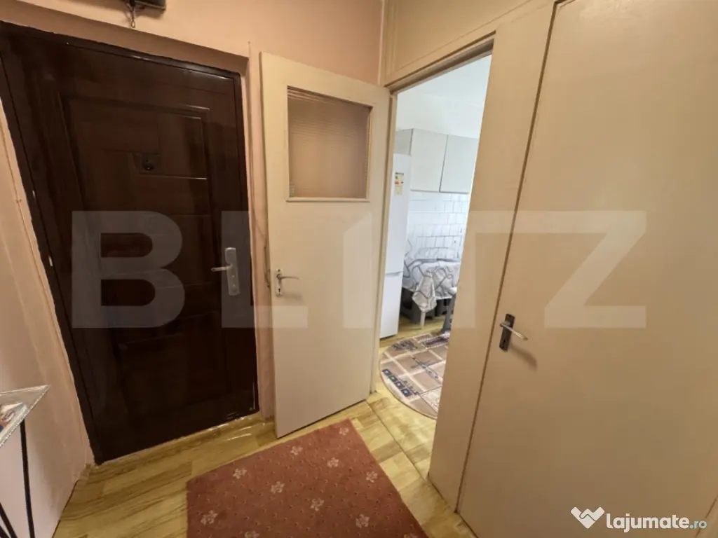 Apartament modest 2 camere, aer conditionat, Brazda lui Nova