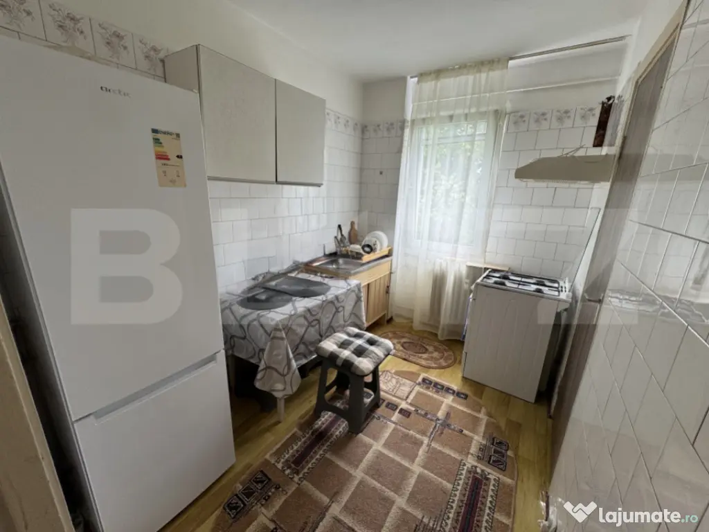 Apartament modest 2 camere, aer conditionat, Brazda lui Nova