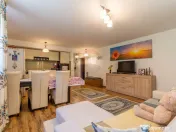 Apartament 2 camere de vanzare – Demisol - zona Campului 