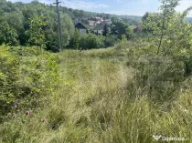 Teren 1400 mp, intravilan – Viile Dealul Mic, zonă liniș