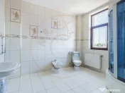 Locuință spectaculoasă cu potențial de business – 730 