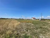 TEREN | 1391MP | SANMARTIN 