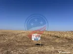 Teren intravilan de vanzare in Pielesti