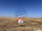 Teren intravilan de vanzare in Pielesti
