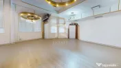 Spatiu comercial cu teren Arcul de Triumf 
