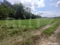 Teren extravilan,850 mp,ideal de cabana,zona Blajeni de Jos