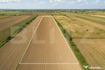 Teren de vânzare – 11.600 mp – Stupini