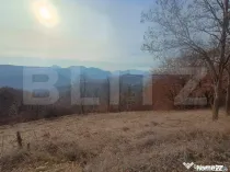 Teren extravilan, 12000 mp, curent com. Ramet