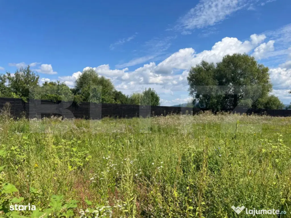 Casa cu parau in spatele curtii in Prejmer, ideala pentru in