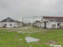 Ferma zootehnică de vânzare în Șieu Odorhei, intravilan,