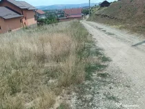 Teren intravilan 1000 mp in Micesti