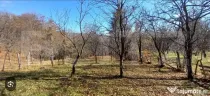 Oportunitate de investiție agricolă – Teren extravilan d