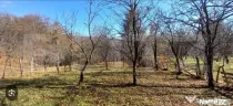 Oportunitate de investiție agricolă – Teren extravilan d