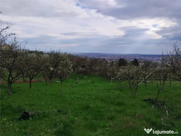 RECO Teren intravilan in Oradea zona Dealuri 1000 mp cu util