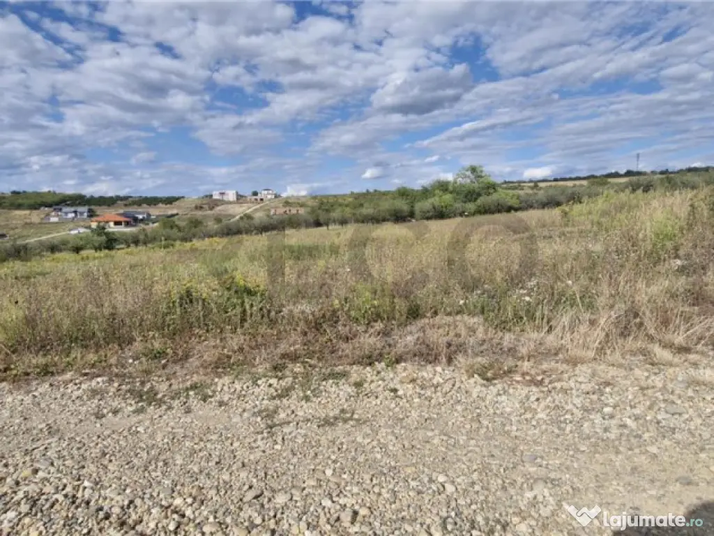 RECO Teren intravilan in Saldabagiu de Munte