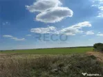 RECO Oportunitate teren 25000mp Santandrei