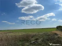 RECO Oportunitate teren 25000mp Santandrei