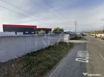 HALA FILIPESTII DE PADURE - complet echipată, pregătită p