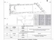 HALA FILIPESTII DE PADURE - complet echipată, pregătită p 