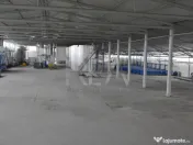 HALA FILIPESTII DE PADURE - complet echipată, pregătită p 