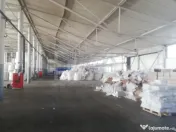 HALA FILIPESTII DE PADURE - complet echipată, pregătită p 