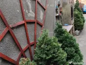 2 cam - zona Parneava - la casa 