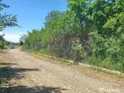 Săbăreni, lot de casă 500 mp, curent lângă teren 