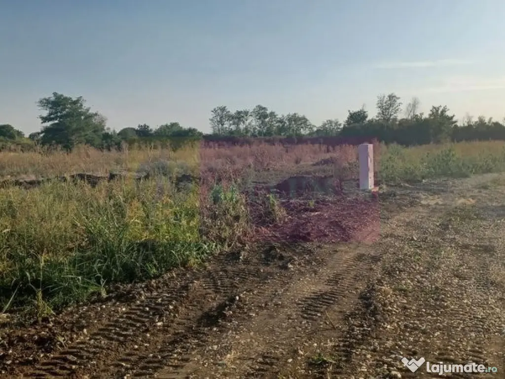 Săbăreni, lot de casă 500 mp, curent lângă teren