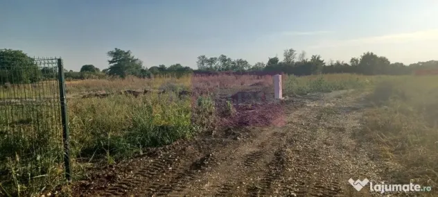 Săbăreni, lot de casă 500 mp, curent lângă teren