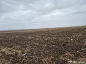 Metro Ploiesti - Paulesti, vanzare teren 39.144mp. 